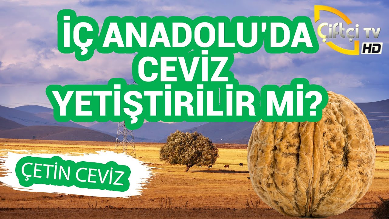 CEVAP VERİYORUZ: 