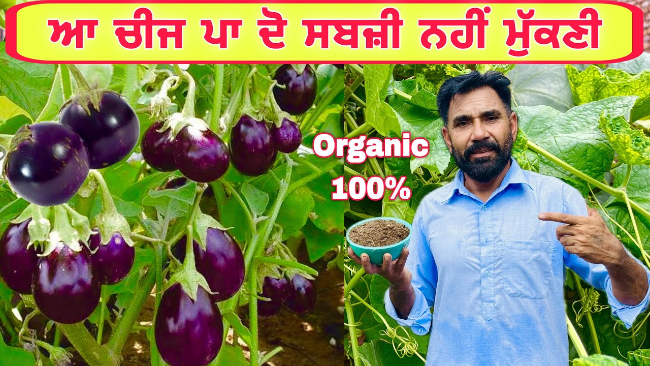 ਆ ਚੀਜ ਪਾ ਦੋ ਇਕ ਵਾਰੀ ਸਬਜ਼ੀ ਨਹੀਂ ਮੁੱਕਣੀ | punjabi Best short video | punjabi Latest video 2025
