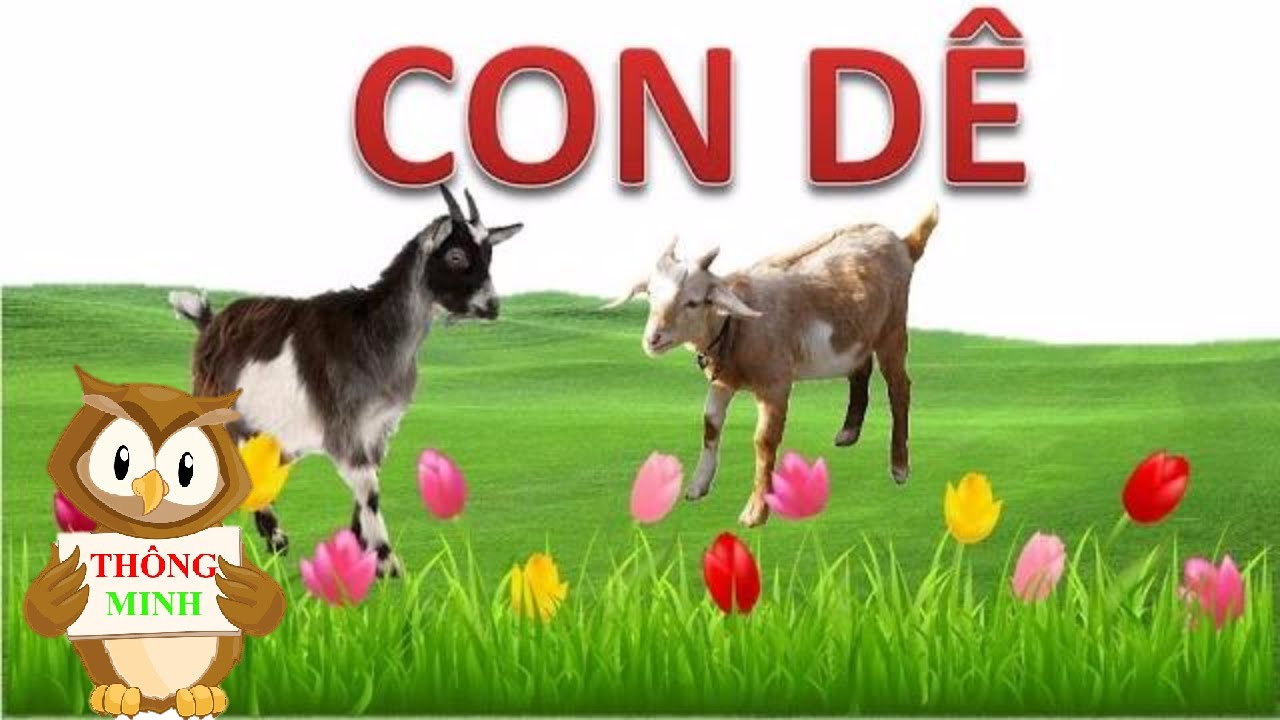 Tiếng kêu của động vật |  em bé học hình ảnh của 50 con vật quen thuộc | dạy trẻ thông minh sớm 1