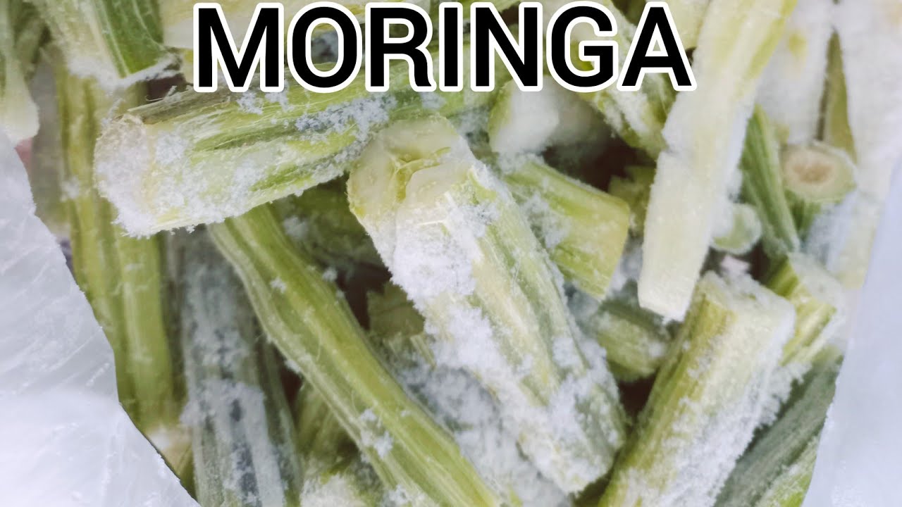 MORINGA 2