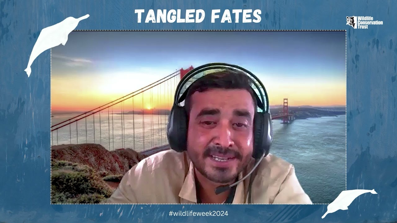 Tangled Fate Interview