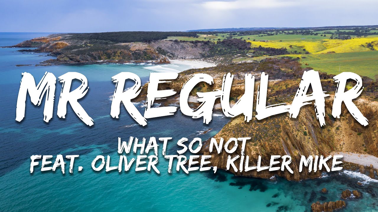 What So Not feat. Oliver Tree, Killer Mike - Mr Regular (Lyrics)