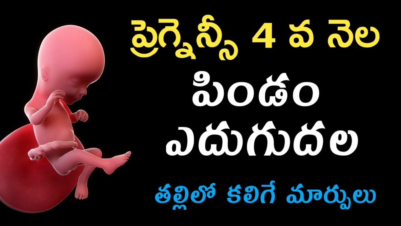 ప్రెగ్నన్సీ 4వ నెల లక్షణాలు, శిశువు ఎదుగుదల | Pregnancy 4th month symptoms in telugu | baby growth