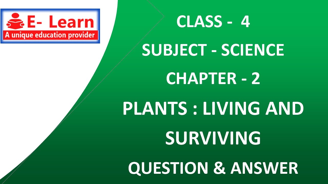 CLASS 4 SCIENCE CHAPTER 2 PLANTS : LIVING AND SURVIVING QUESTION AND ANSWER