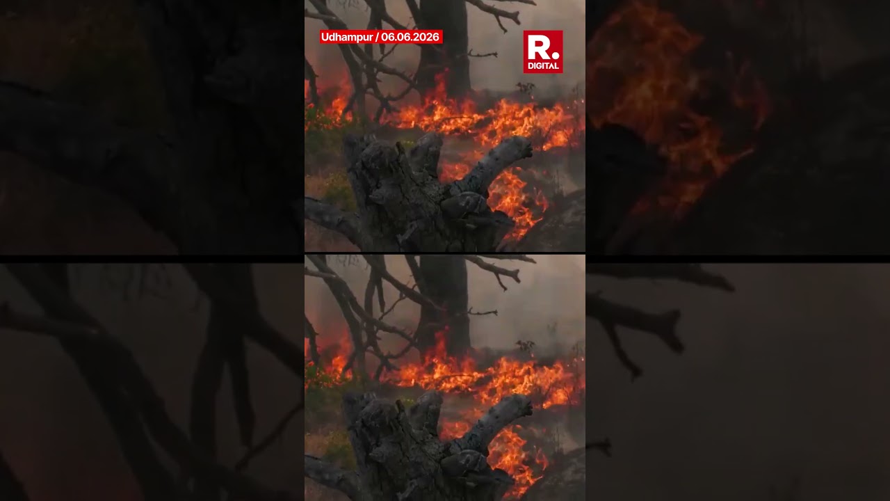 Forest Fire Breaks Out In Udhampur's Dabbar Area, Response Underway