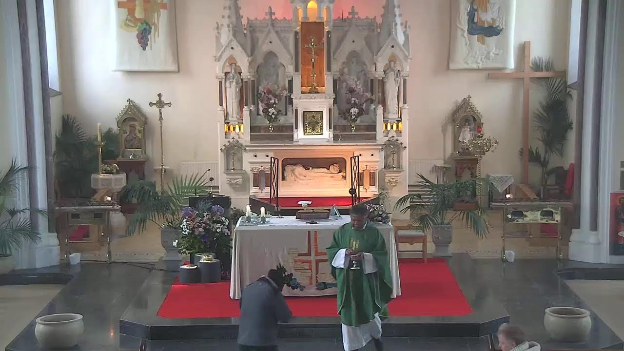 Elphin