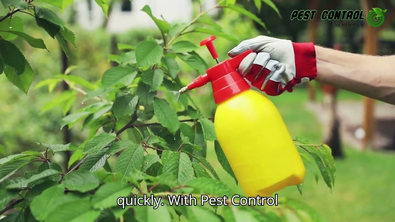 Do it right the FIRST time with Pest Control Excellence!