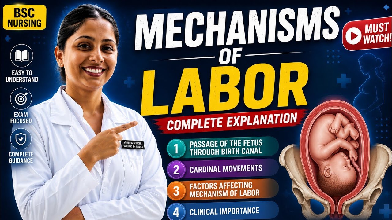 Mechanism of Labor||Cardinal Movement of labor ||Fun learning||@nursingbyanjali