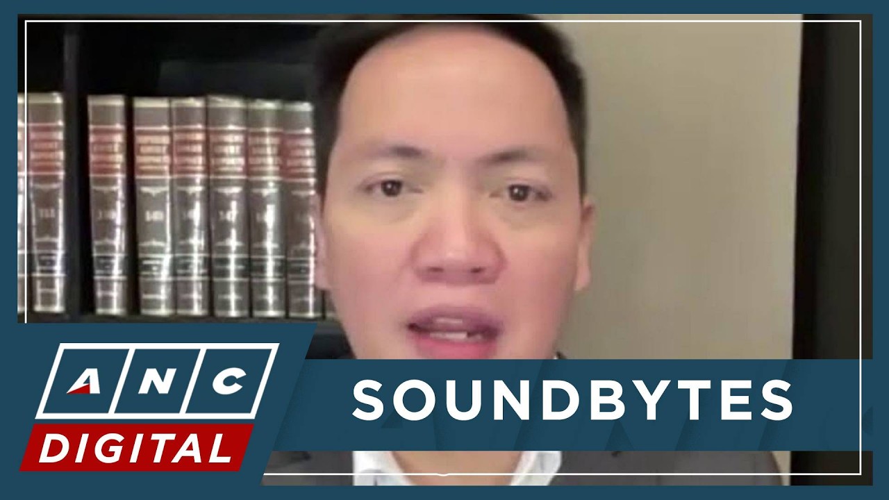 Ligutan: Luistro is level-headed, impartial, following House rules | ANC