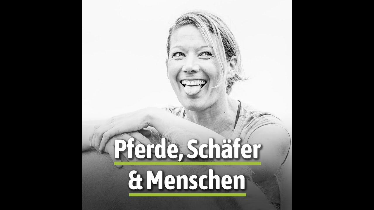 Aktiv zuhören statt Show-Therapie – ein unterschätzter Erfolgsfaktor in der Pferdetherapie