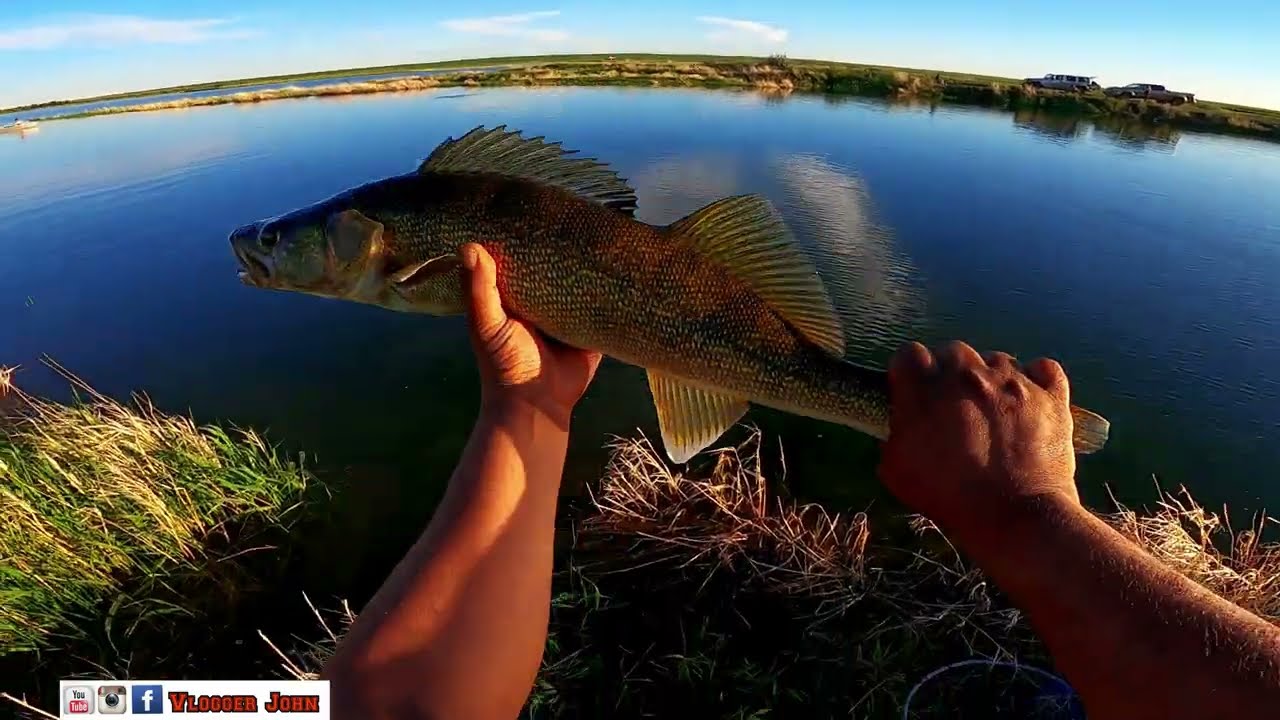 Pike and walleye Fishing from the shore/Spillway Fishing/Introducing New young Angler from Alberta!!