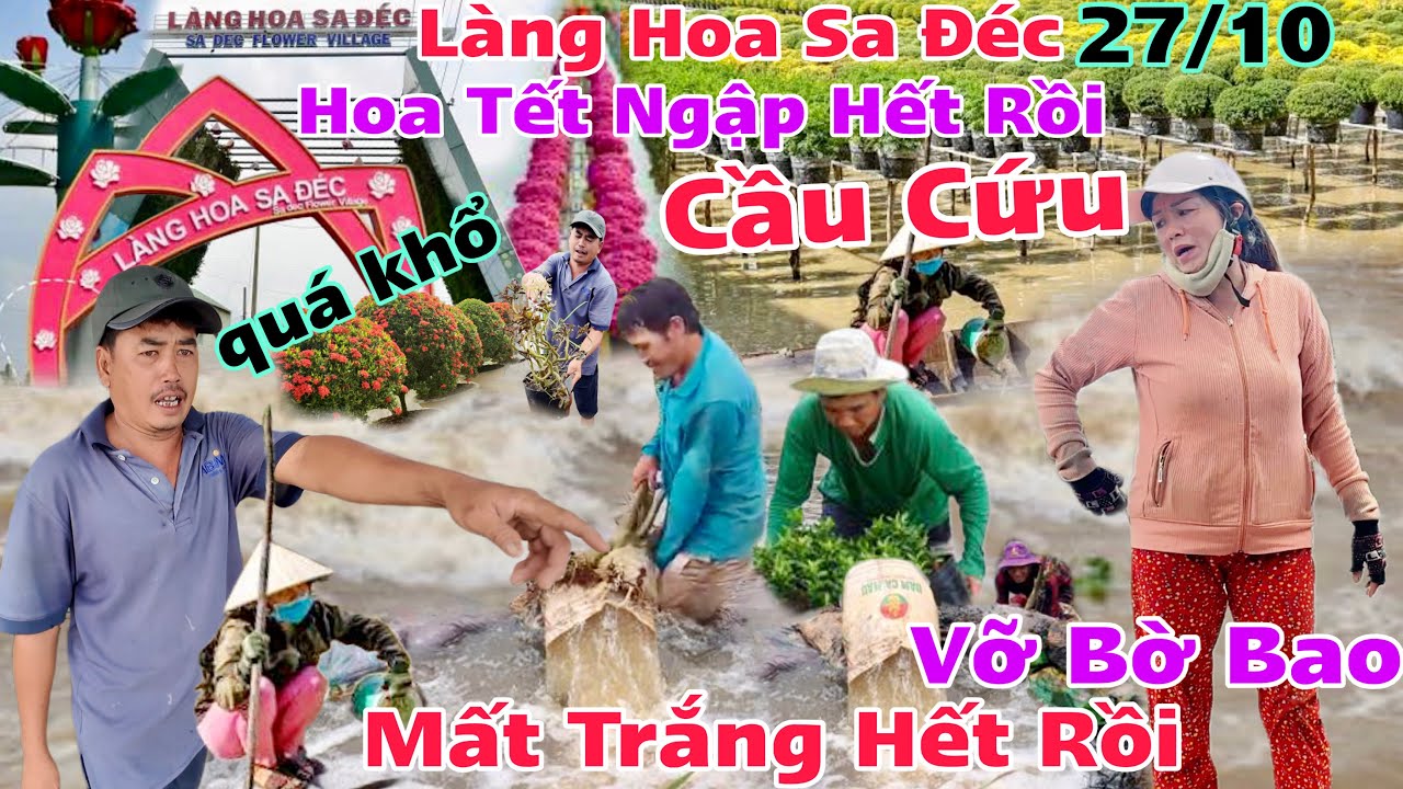 Làng Hoa Sa Đéc Cầu Cứu vỡ bờ bao nước tràn vào cấp tốc ngập hết hoa xứ mất trắng rồi quá khổ