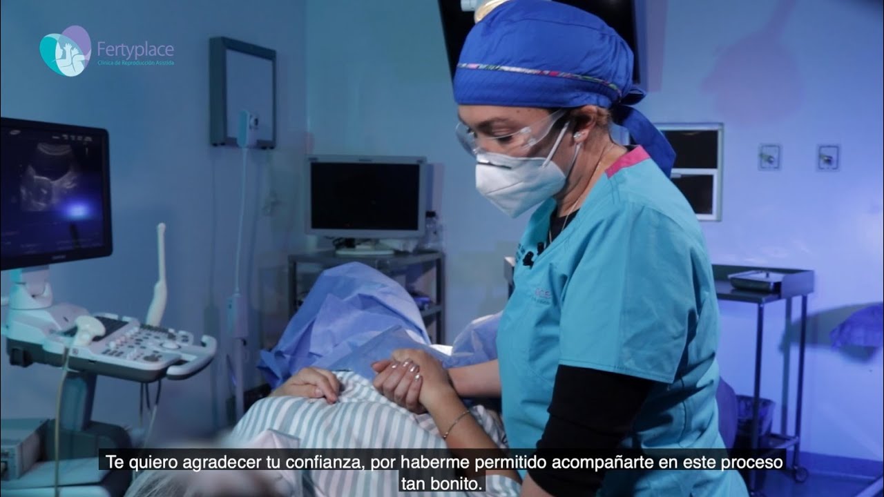 Transferencia Embrionaria | Fertyplace