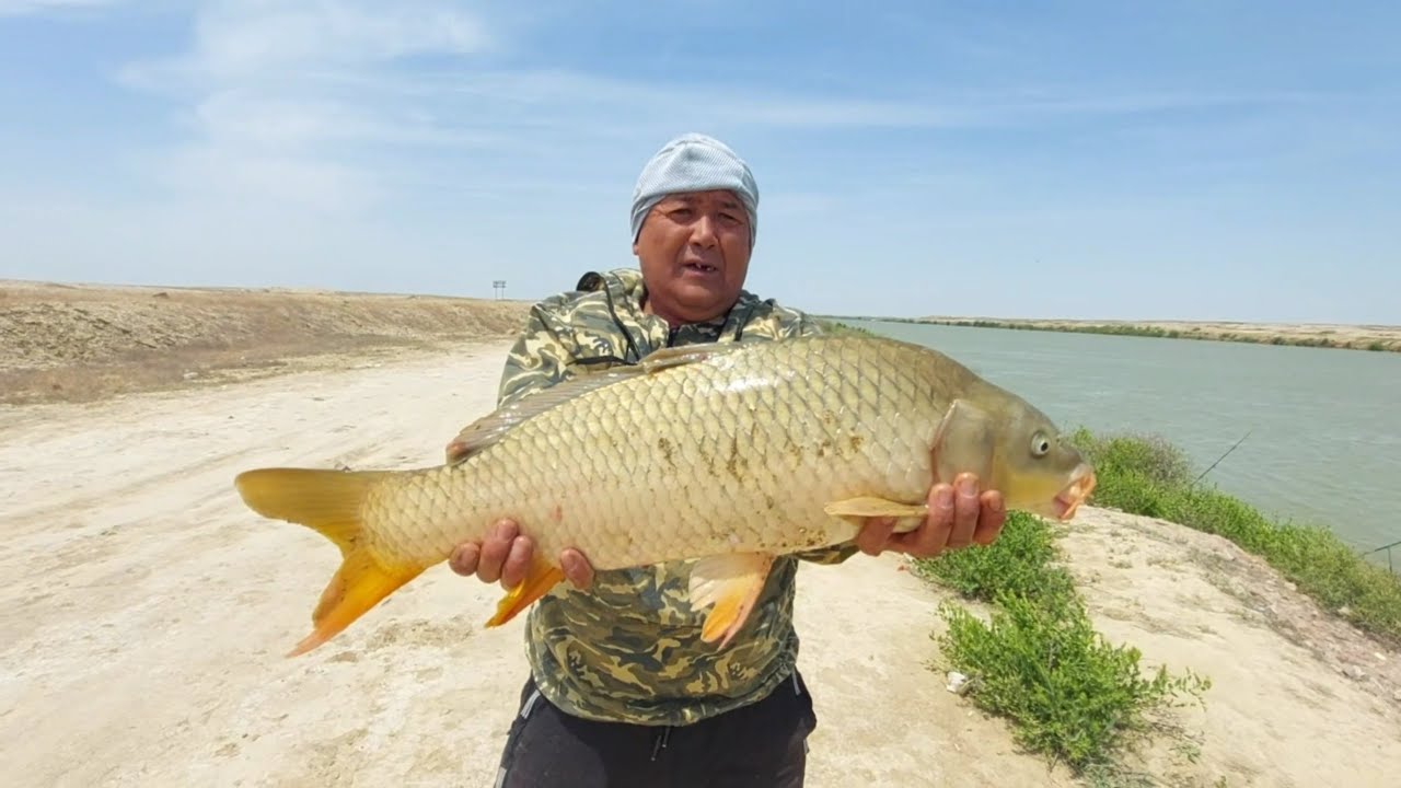 КӨКСАРАЙ шығыс каналы, Сағындырған Сазандар -АЙ🐟😊