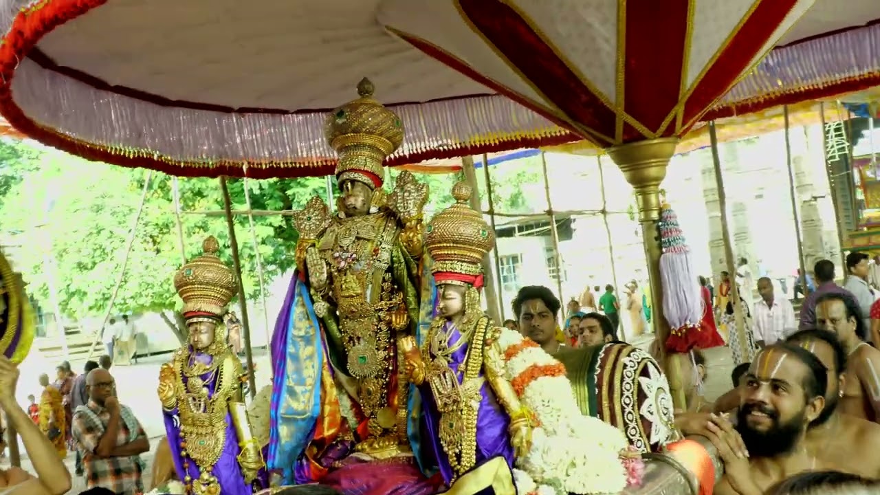 Kanchi Varadarajan - Ekantha Sevai - Mallari - Vaduvur S.N.R.Krishnamurthy_3m 14s   (4K)