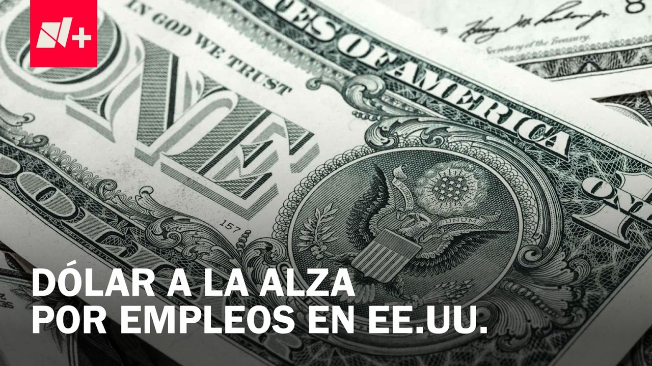 Precio del dólar hoy 11 de febrero de 2026:Anuncios de empleos en Estados Unidos - Despierta