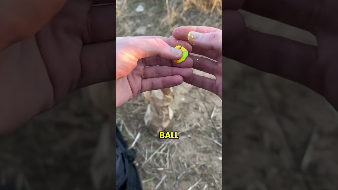 Fishing for Trout with Powerbait! Have you tried this?