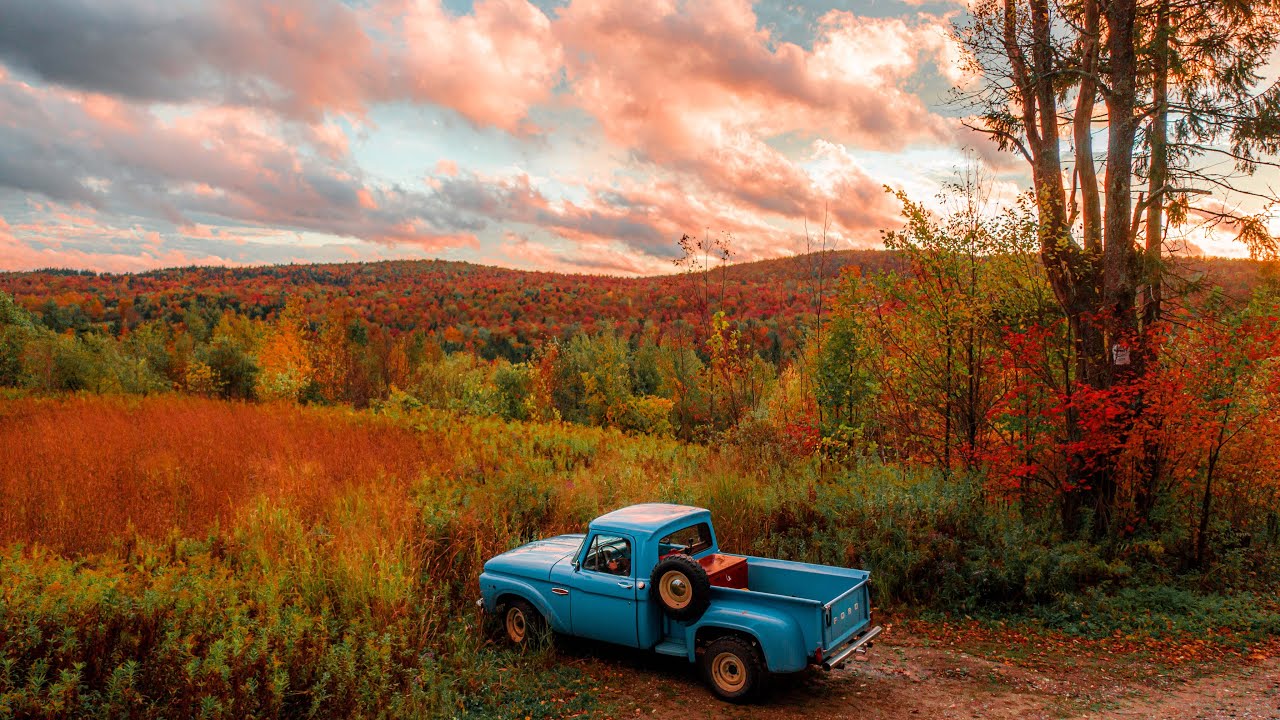 Dreamy Fall Foliage & Cabin Renovations