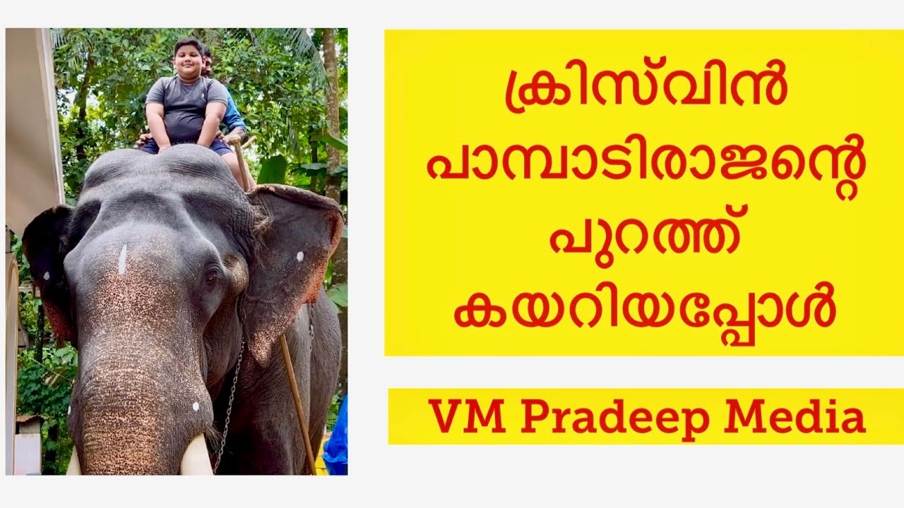 Pampadi Rajan ക്രിസ്‌വിനെ പുറത്തുകയറ്റിയപ്പോൾ@VMPRADEEP#keralaelephant#wildlifeanimals#2023