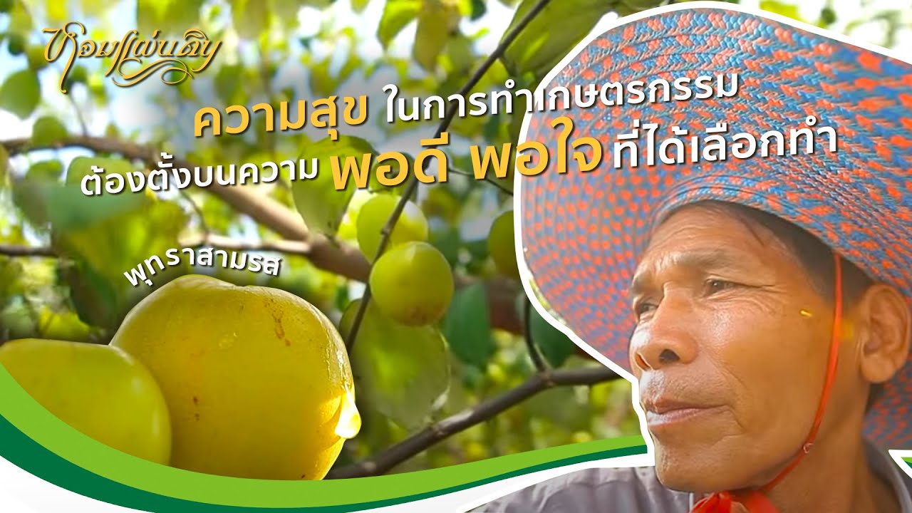 หอมแผ่นดิน ตอน เพียงพอใจ | ความสุขในการทำเกษตรต้องตั้งบนความพอดี พอใจที่ได้เลือกทำ สวนพุทราสามรส
