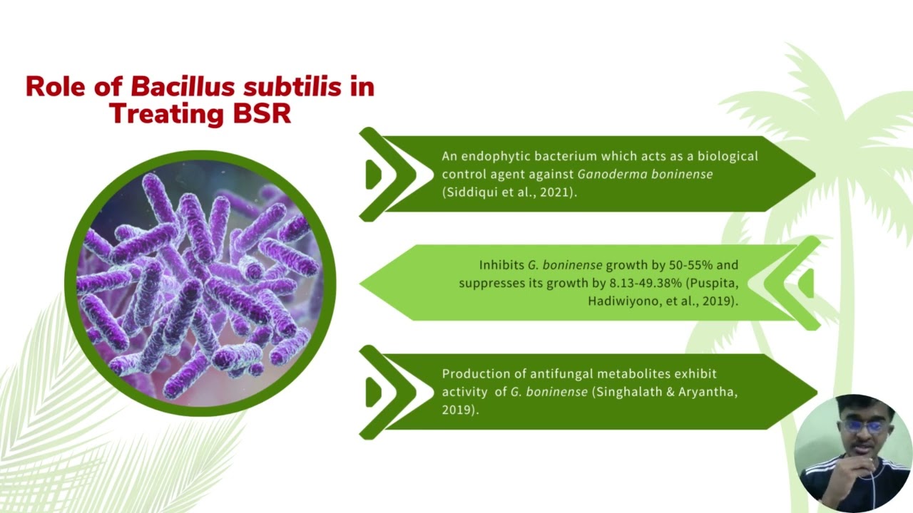 NanoSub Palm Protect