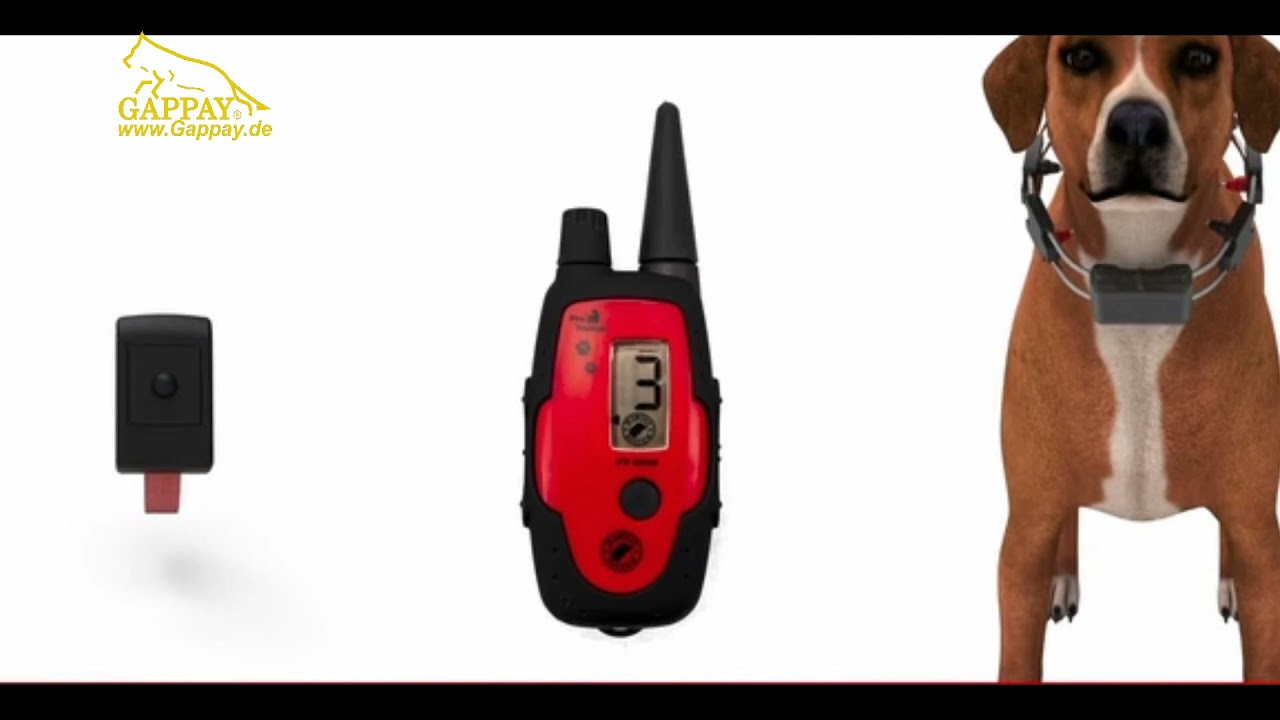 Martin System Doggify App