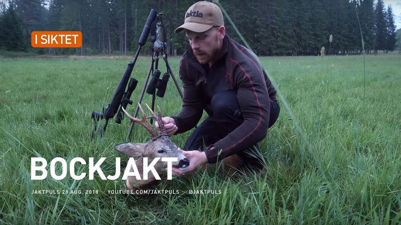 Bockjakt