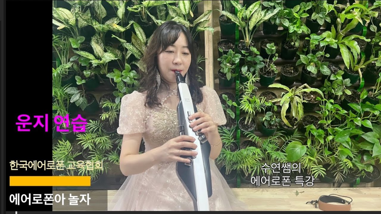 수연쌤의 에어로폰 특강1. 운지법의 고민을 해결해 드립니다(에어로폰 운지 잘하는 방법- 홀드 모드를 이용한 비법)#에어로폰 #에어로폰연주 #에어로폰운지법#한국에어로폰교육협회