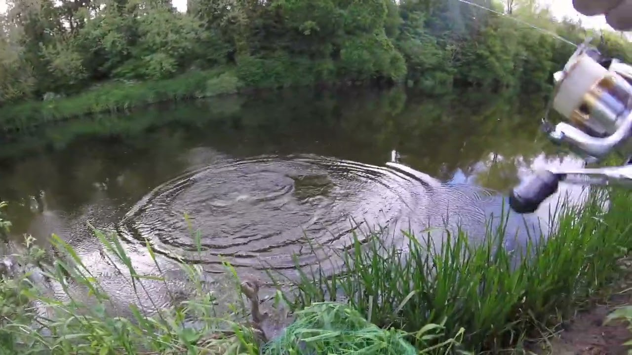 Irish salmon angling 2022