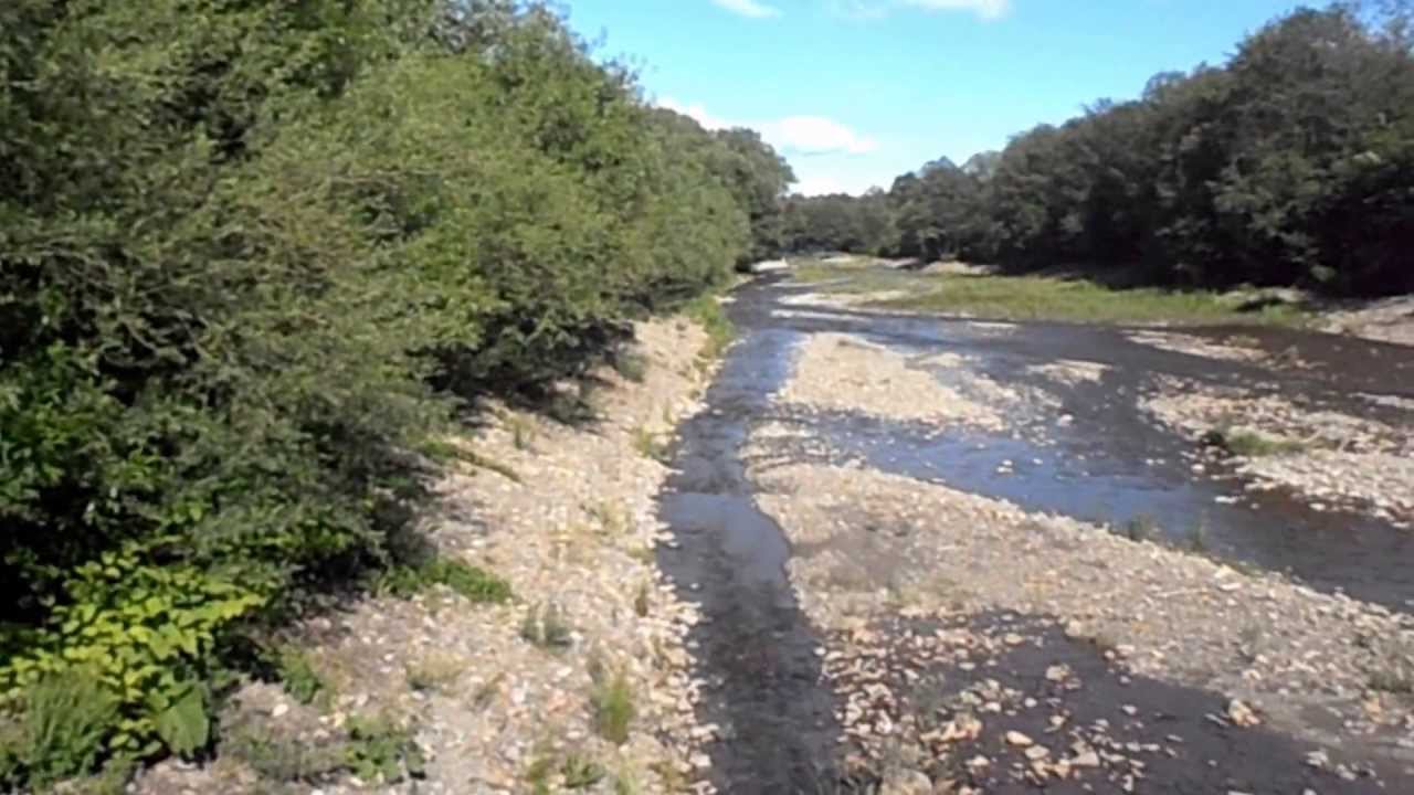 Atrakcje - Leśna