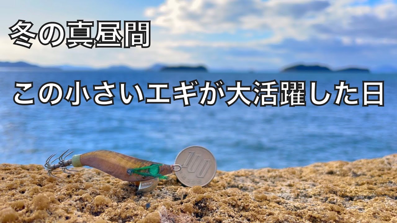 豆みたいに小さいエギでイカ釣りしたら、たくさん釣れた話【車中泊釣り旅第三弾・西日本&九州編5話】