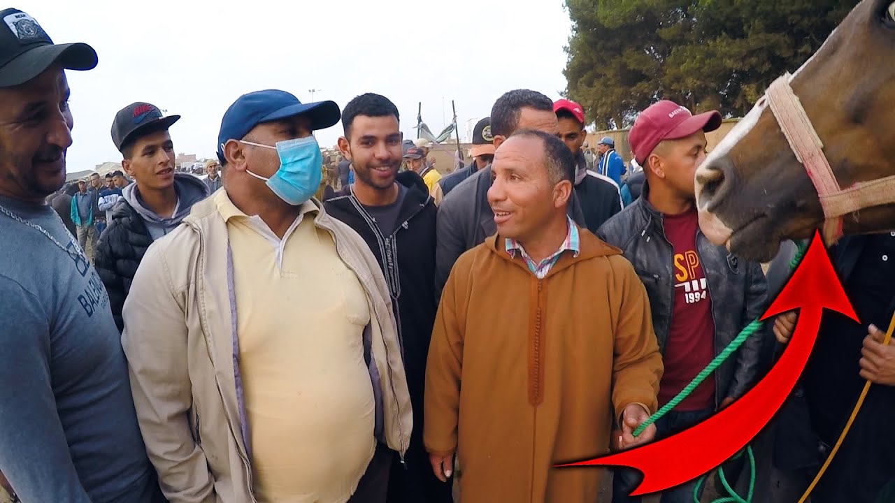 حميد طيكطوك هو سبع 🦁 د سوق الخميسات اليوم عندو فحال ربح فحال لخطية بارك على لبوطونة الحمرة. الجزء 1
