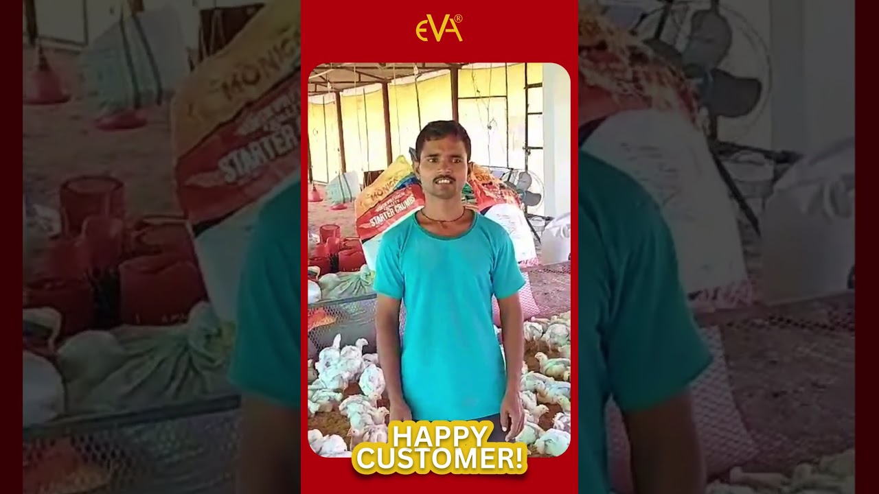 Happy Customer | Eva Group | Monick | #poultryfeed #poultryfarming #poultry #evafeeds