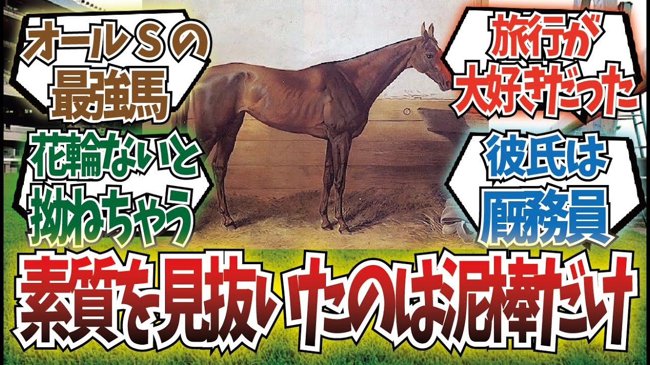 「54戦54勝の名馬」に対するみんなの反応集