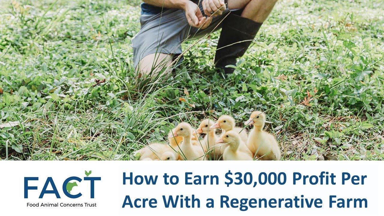 How to Earn $30,000 Profit Per Acre With a Regenerative Farm
