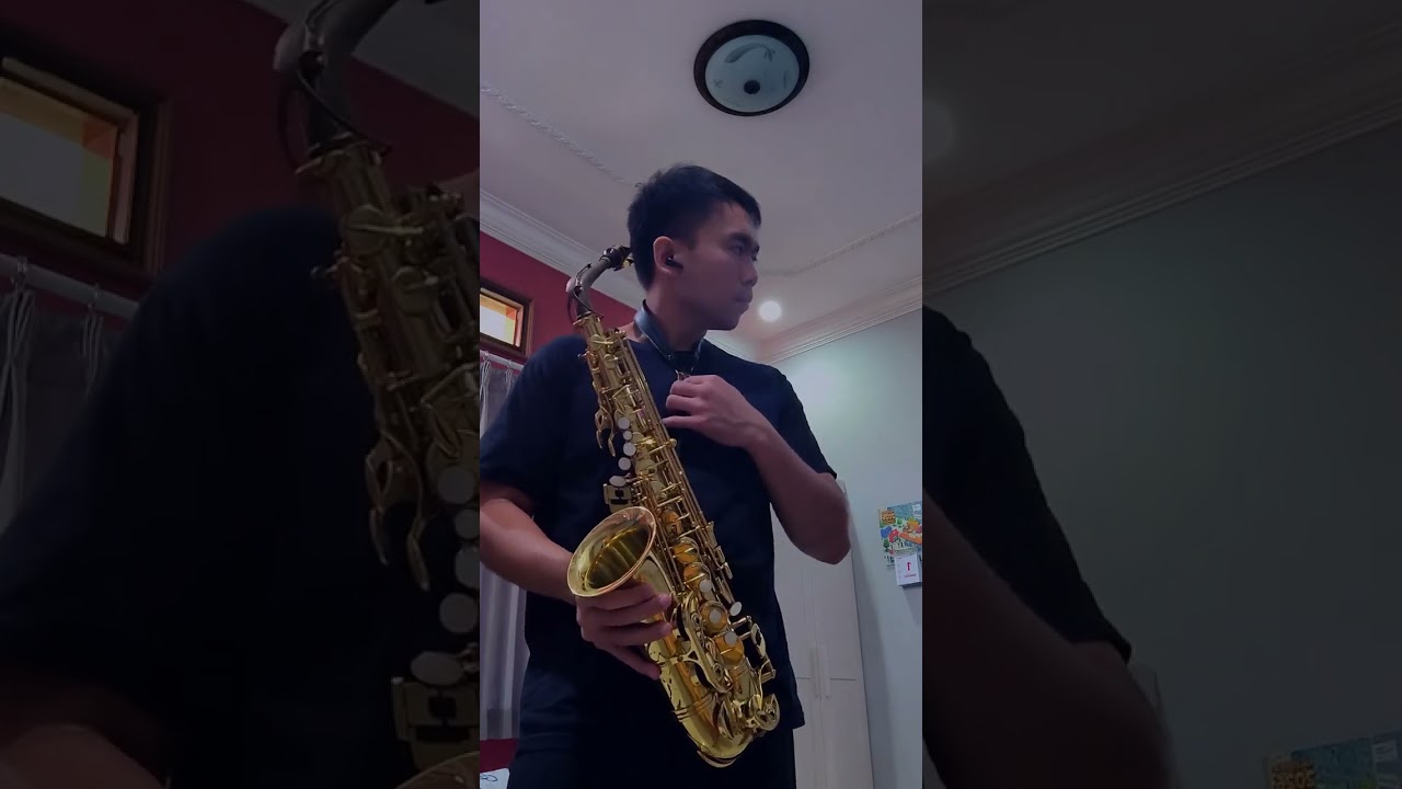 Saxophone Cover - 