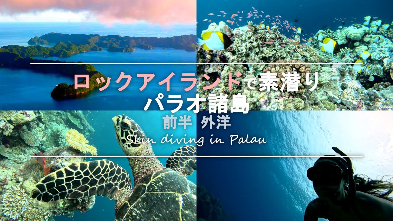 スキンダイビング パラオ諸島 - 46