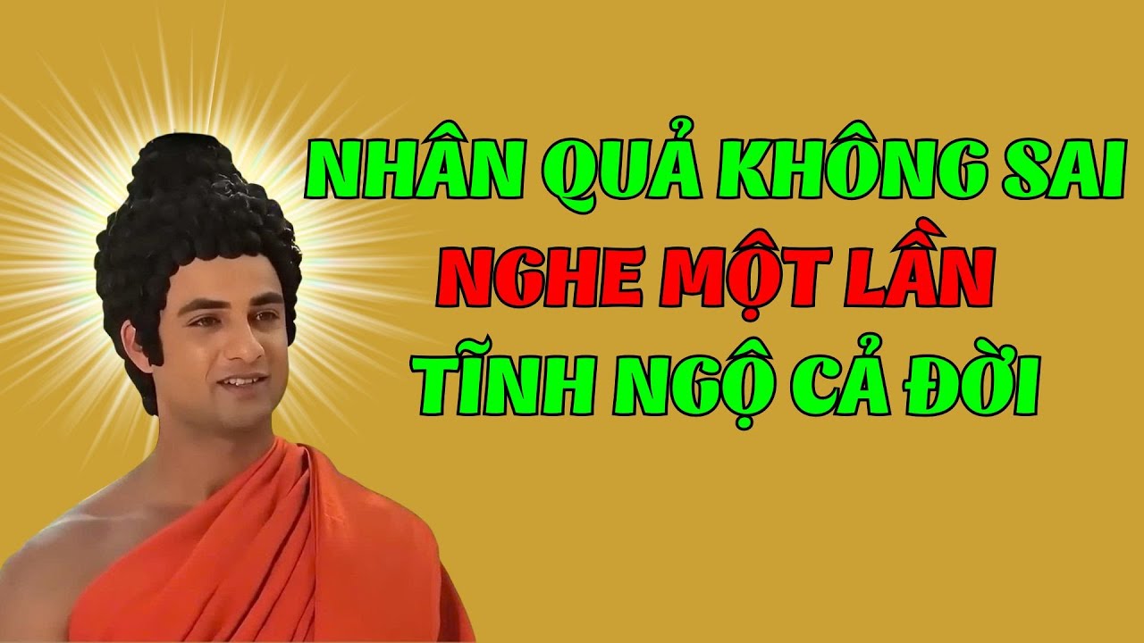 Lời Phật Dạy Sâu Sắc Về Nhân Quả và Luân Hồi – Người Tu Đạo Nên Lắng Nghe Một Lần Trong Đời