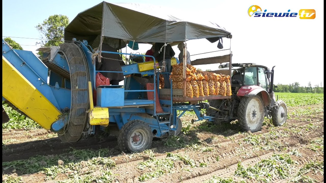 ZIEMNIACZANA TRAGEDIA W POWIECIE SIERADZKIM - siewie.tv