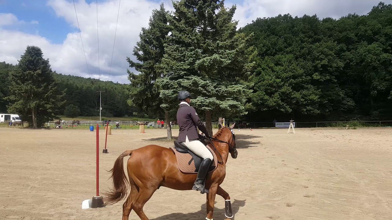 Little Dancer - Working Equitation Trail Klasse E - Neu-Anspach 2018