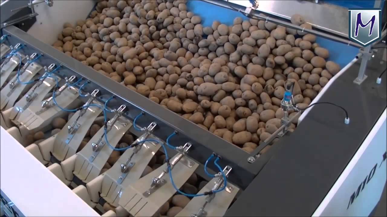 APH Group Engineering: Manter M10 XL, 10-bucket combination weigher for large weights