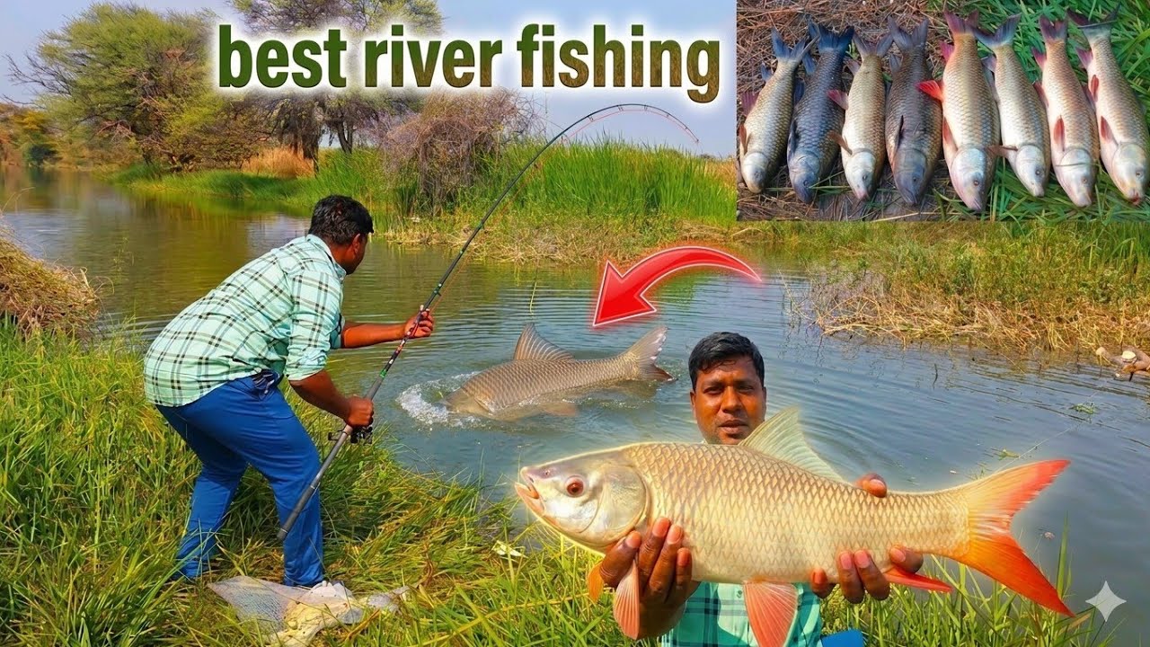 Fish Catching Videos | Best Fishing Techniques | Amazing hook fishing | Fishing Vlogger