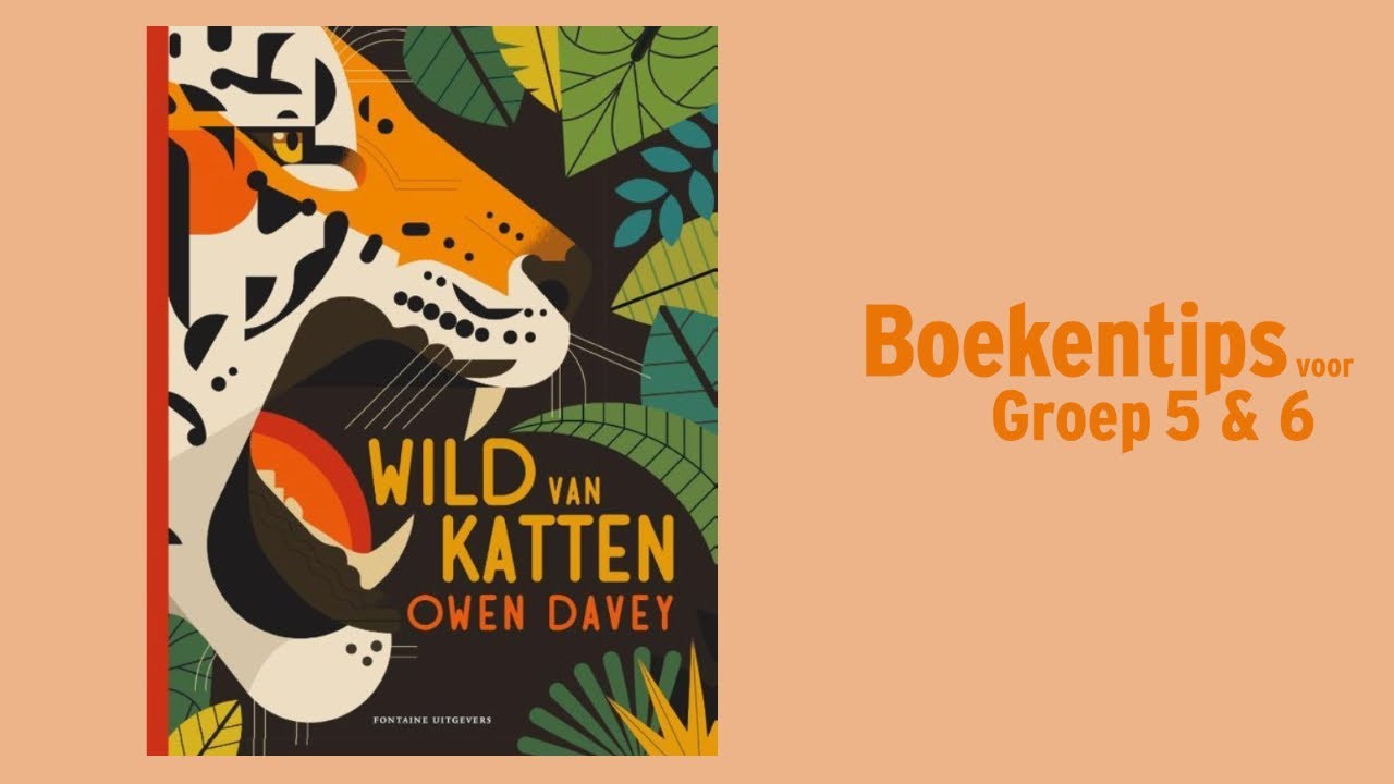 Wild van katten - Owen Davey
