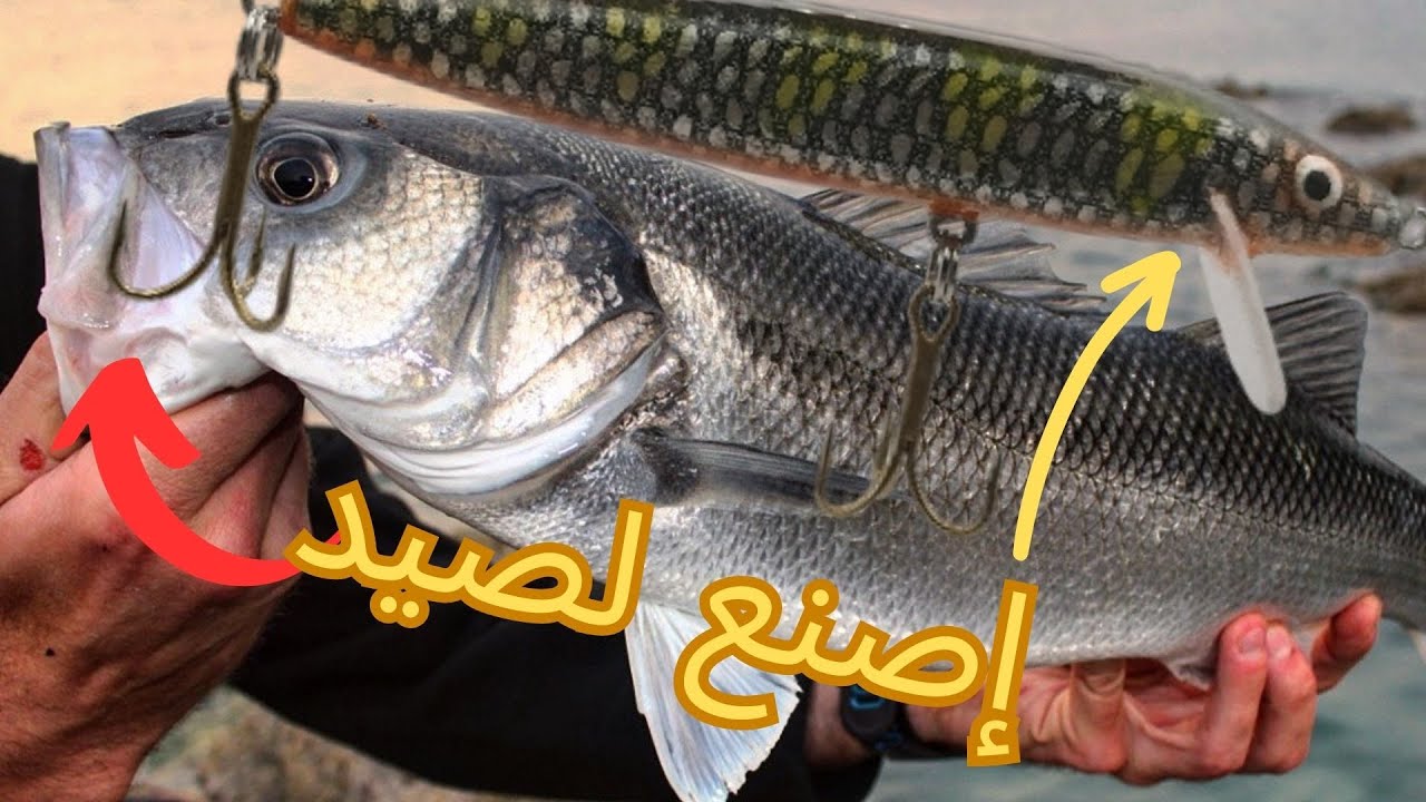 #طعم صناعي لصيد الدرعي Artificial bait for catching sea bass