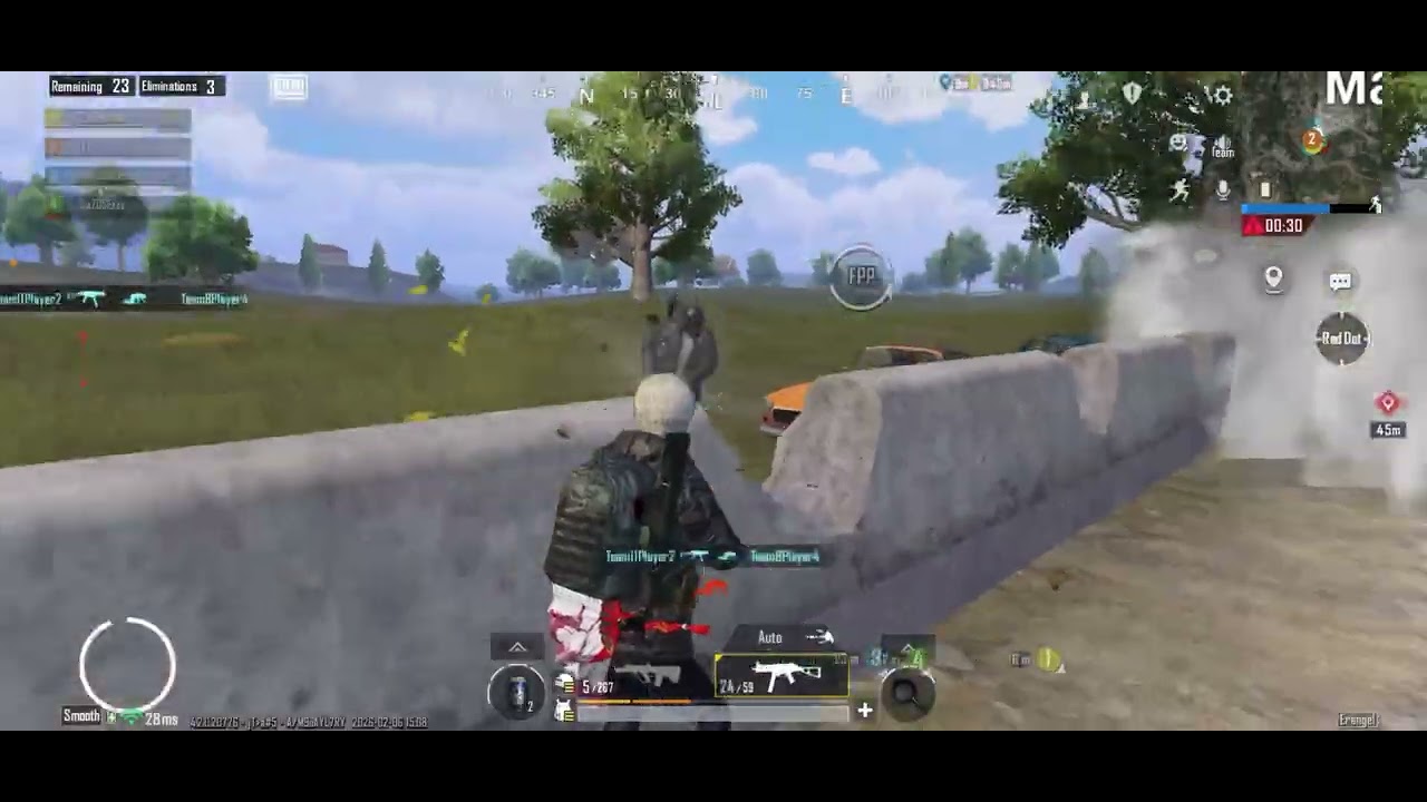 Clips