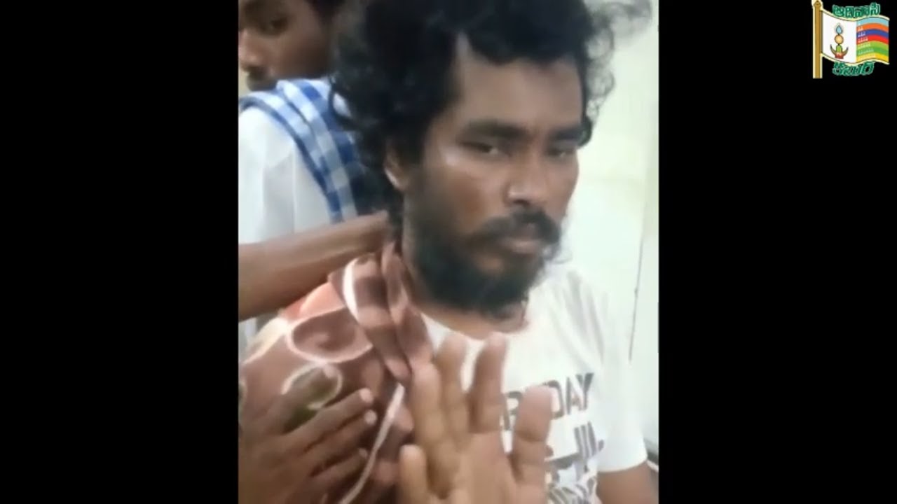 కోలుకుంటున్న ఆదివాసీ కళాకారుడు మెస్రం రవి || Rela Meshram Ravi