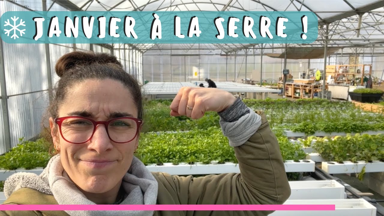 🌿 VARIÉTÉS et 👩‍🌾 ACTIVITÉS dans notre serre en Janvier #vlog