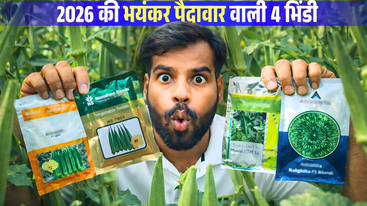 Garmiyon ke liye Best Superhit Bhindi Variety 🔥तोड़कर खत्म नहीं कर पाओगे !