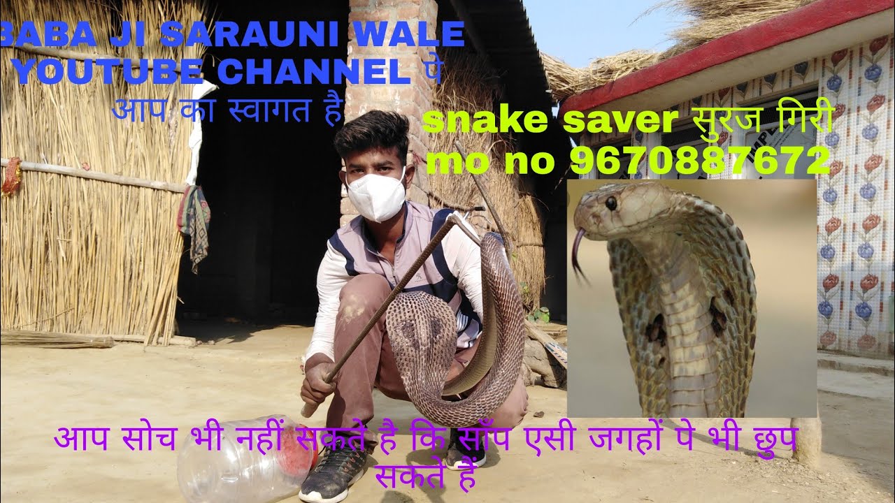 आज बाल, बाल बचे snake saver suraj giri इस नाग ने जो किया आप कल्पना भी नहीं कर सकते very Dangerous