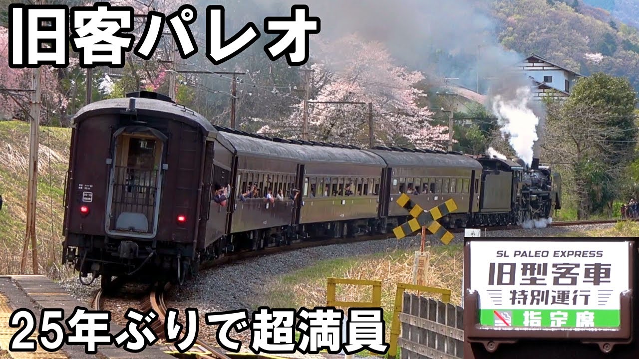【SLを見る】旧客パレオ25年ぶりに復活 - 秩父鉄道 SLパレオエクスプレス 旧型客車特別運行